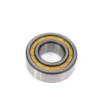 brass cage cylindrical roller bearing NJ 304 ECM size 20x52x15mm bearings japan brand price for gearbox